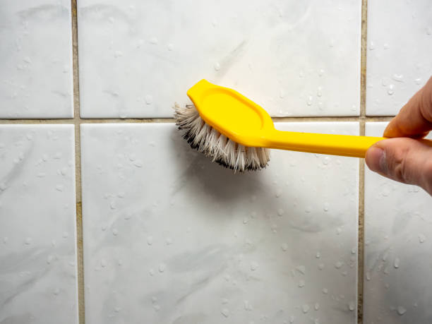 Clare, MI Mold Remediation Company