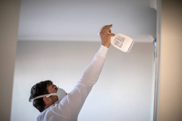 Best HVAC Mold Remediation in Clare, MI